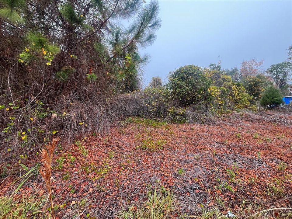 For Sale: $10,400 (0.23 acres)