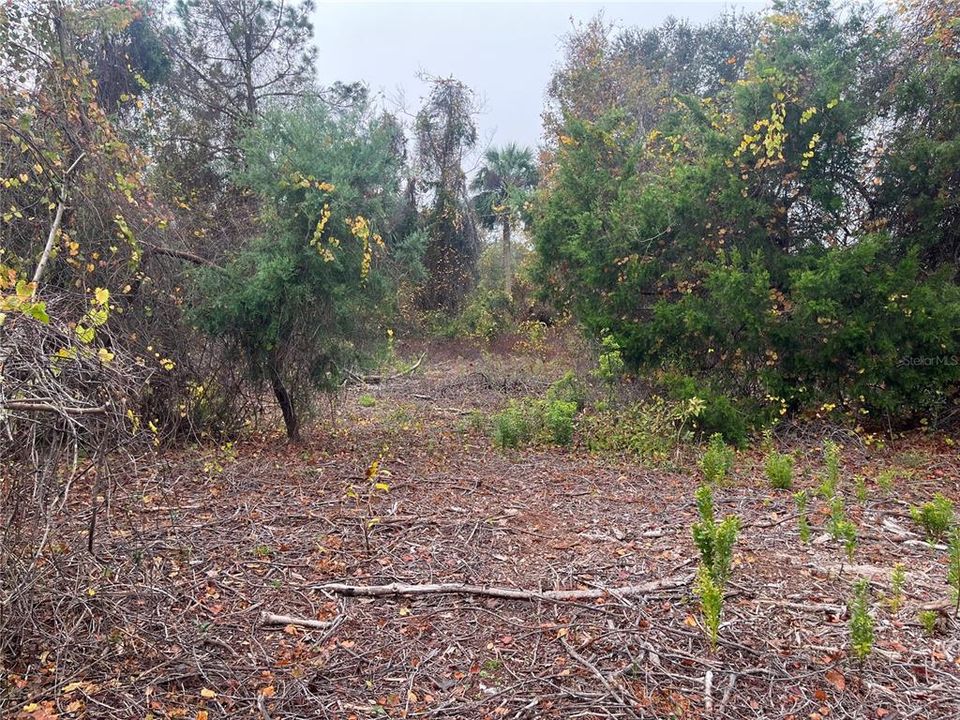 For Sale: $10,400 (0.23 acres)