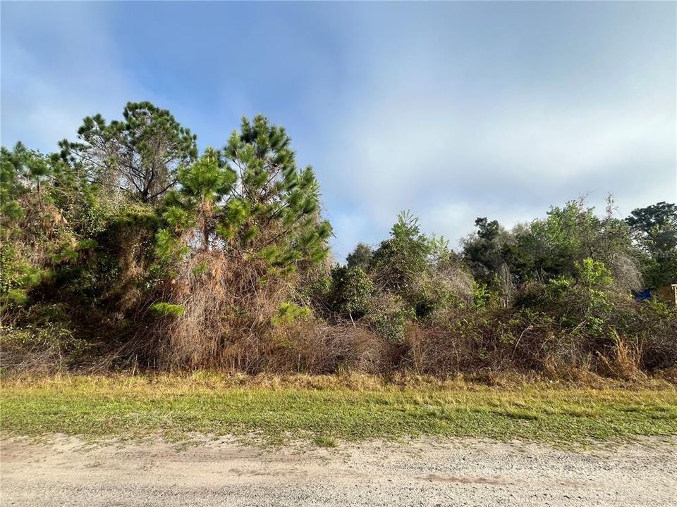 For Sale: $10,400 (0.23 acres)