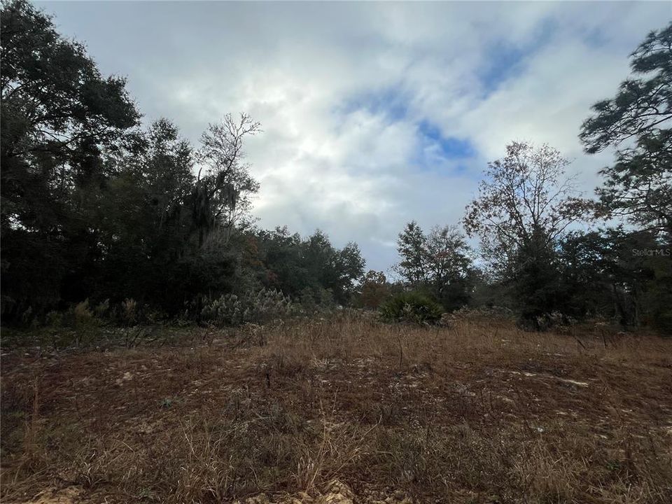 For Sale: $10,400 (0.23 acres)