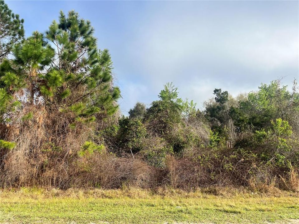 For Sale: $10,400 (0.23 acres)