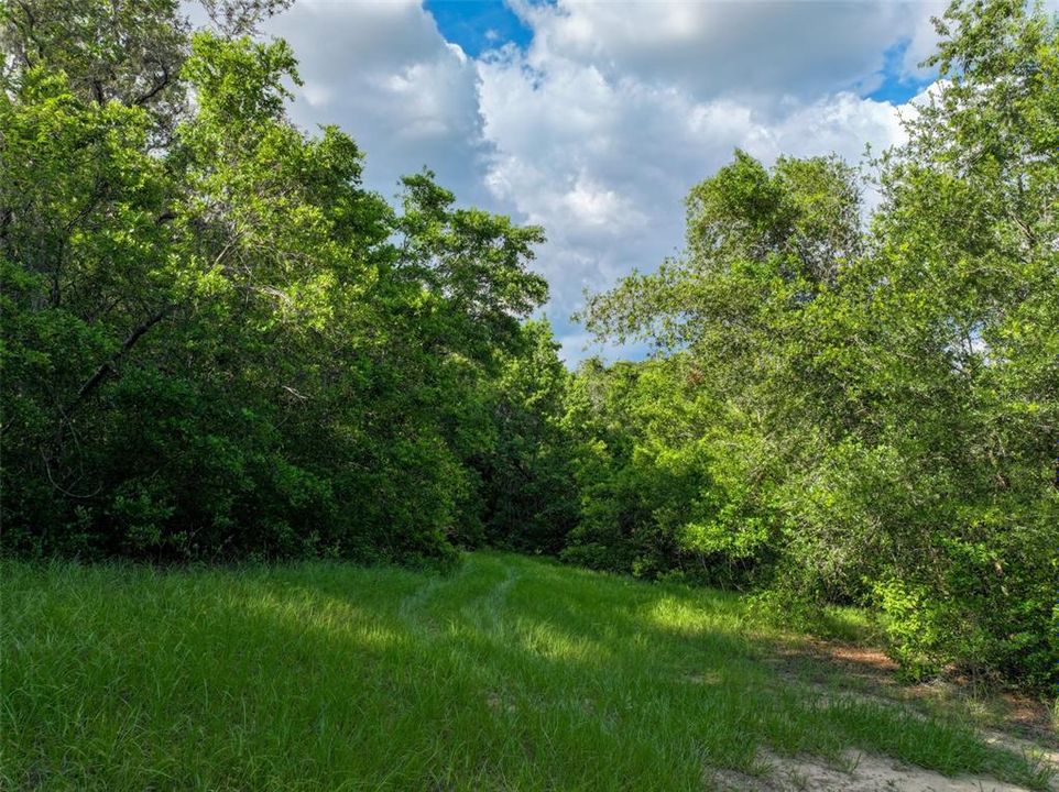 En Venta: $1,549,000 (3 camas, 2 baños, 2976 Pies cuadrados)