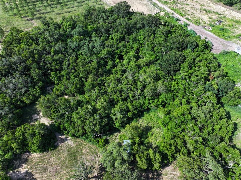 En Venta: $1,549,000 (3 camas, 2 baños, 2976 Pies cuadrados)