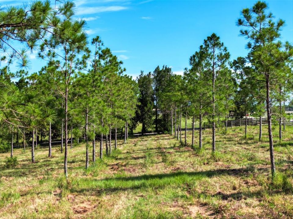 En Venta: $1,549,000 (3 camas, 2 baños, 2976 Pies cuadrados)