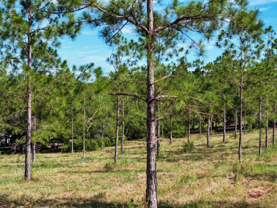 En Venta: $1,549,000 (3 camas, 2 baños, 2976 Pies cuadrados)