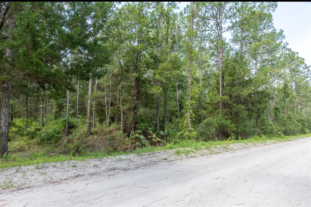 На продажу: $34,900 (1.14 acres)