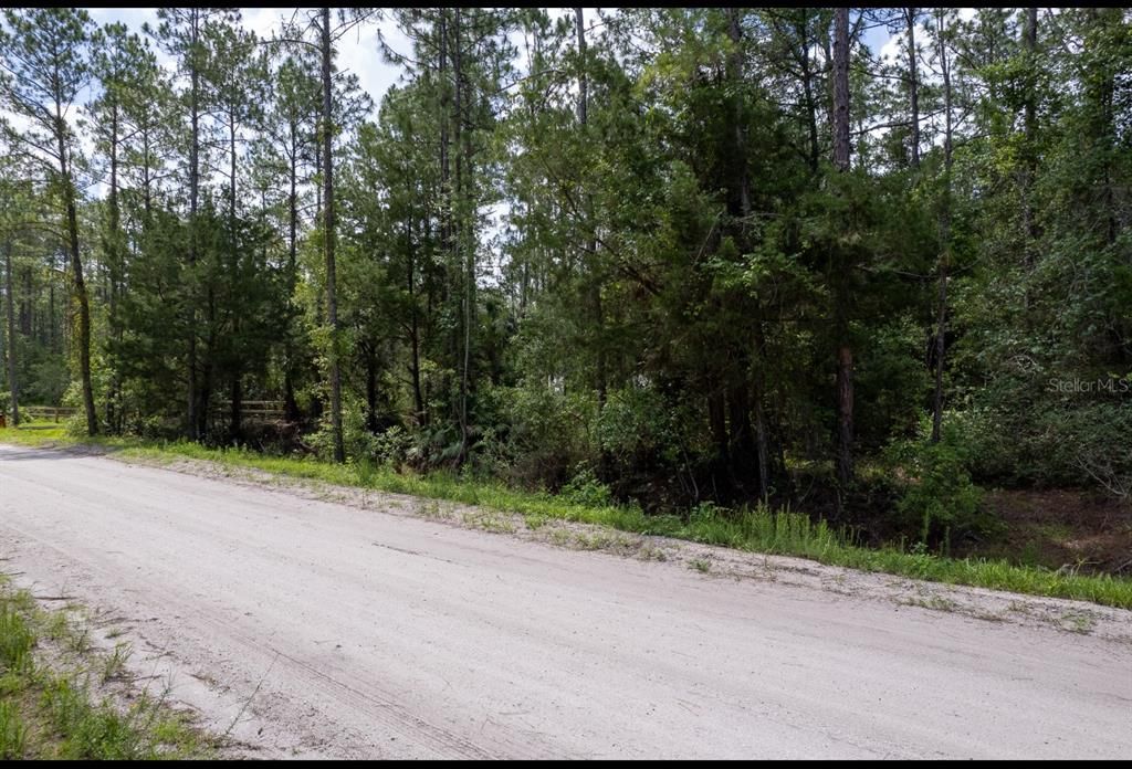 На продажу: $34,900 (1.14 acres)