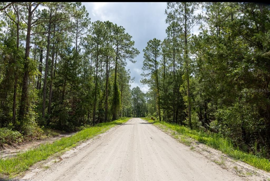 На продажу: $34,900 (1.14 acres)