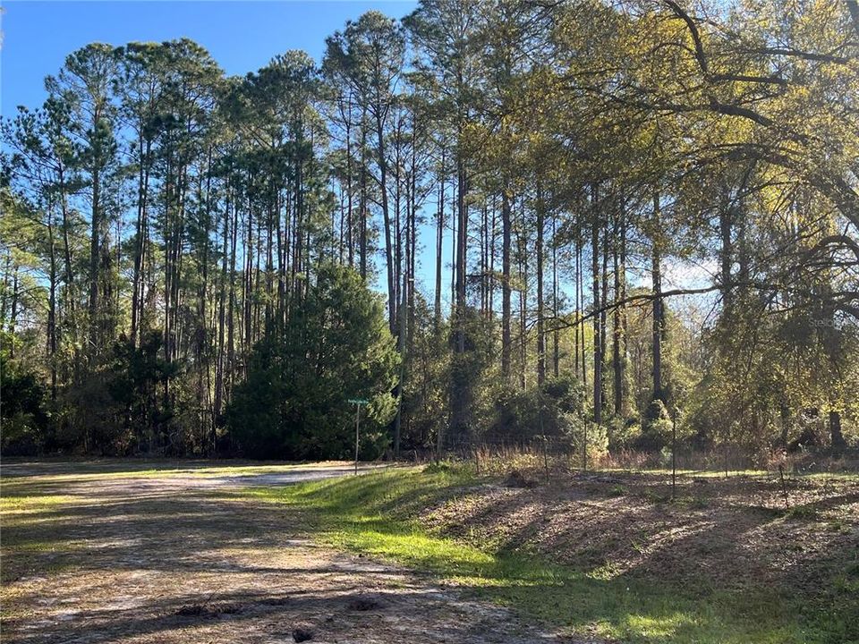 For Sale: $11,100 (0.23 acres)