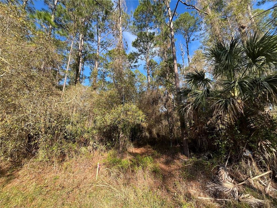 For Sale: $11,100 (0.23 acres)