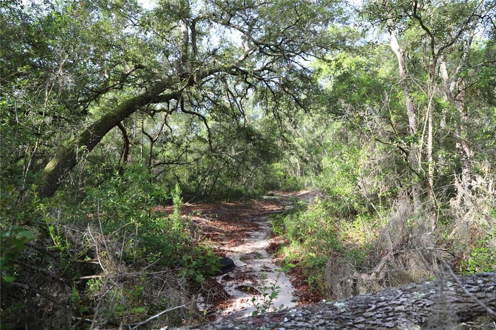 En Venta: $495,000 (9.85 acres)