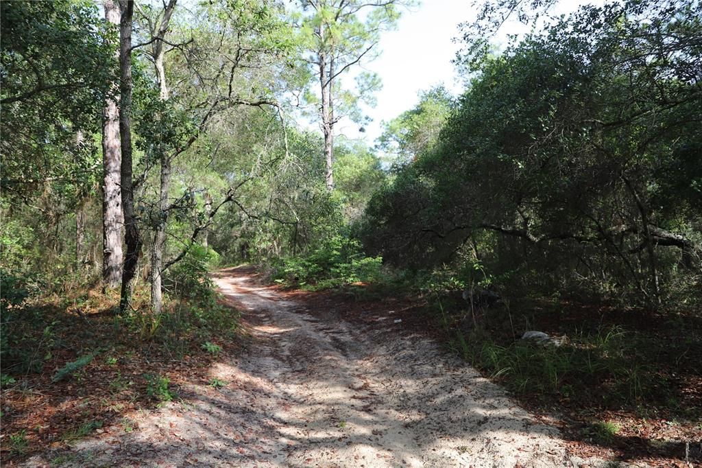 En Venta: $495,000 (9.85 acres)