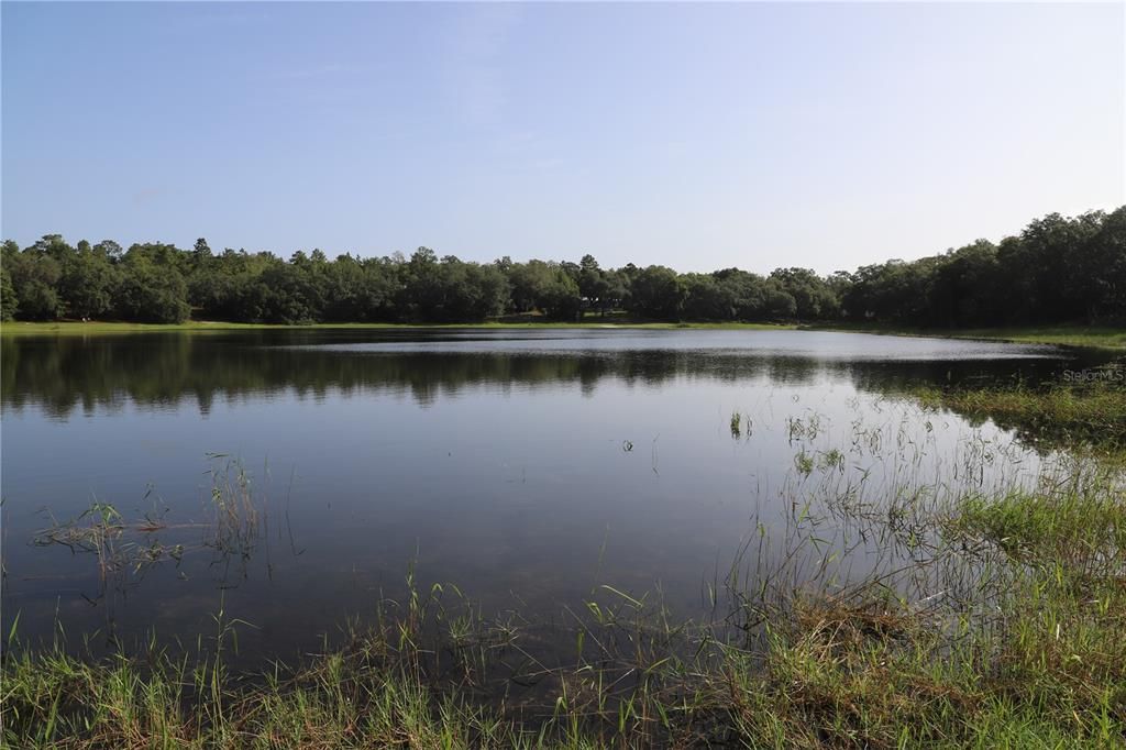 En Venta: $495,000 (9.85 acres)