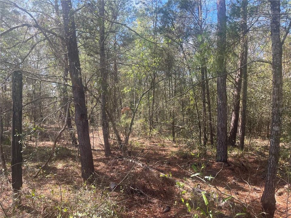 Recently Sold: $11,500 (0.45 acres)