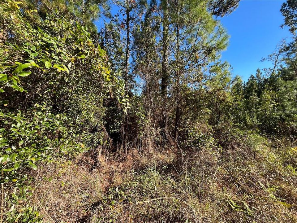 待售: $6,800 (0.23 acres)