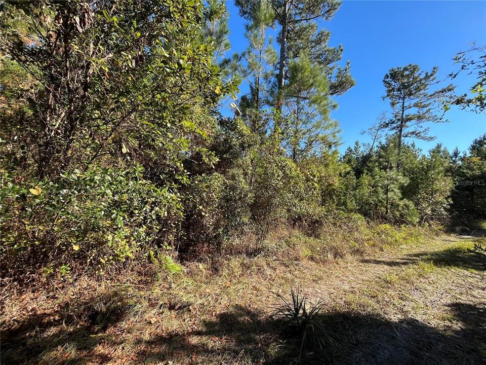 待售: $6,800 (0.23 acres)