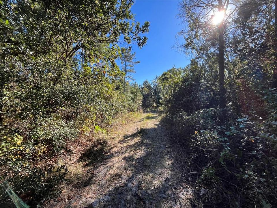 待售: $6,800 (0.23 acres)