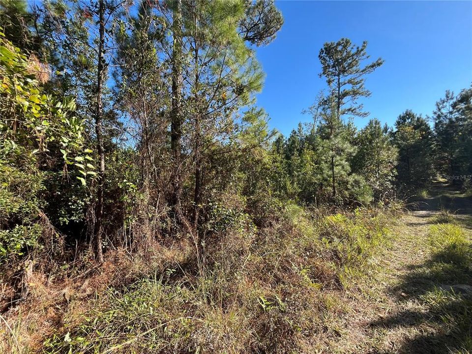 For Sale: $6,800 (0.23 acres)