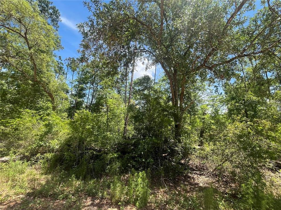 En Venta: $12,400 (1.12 acres)