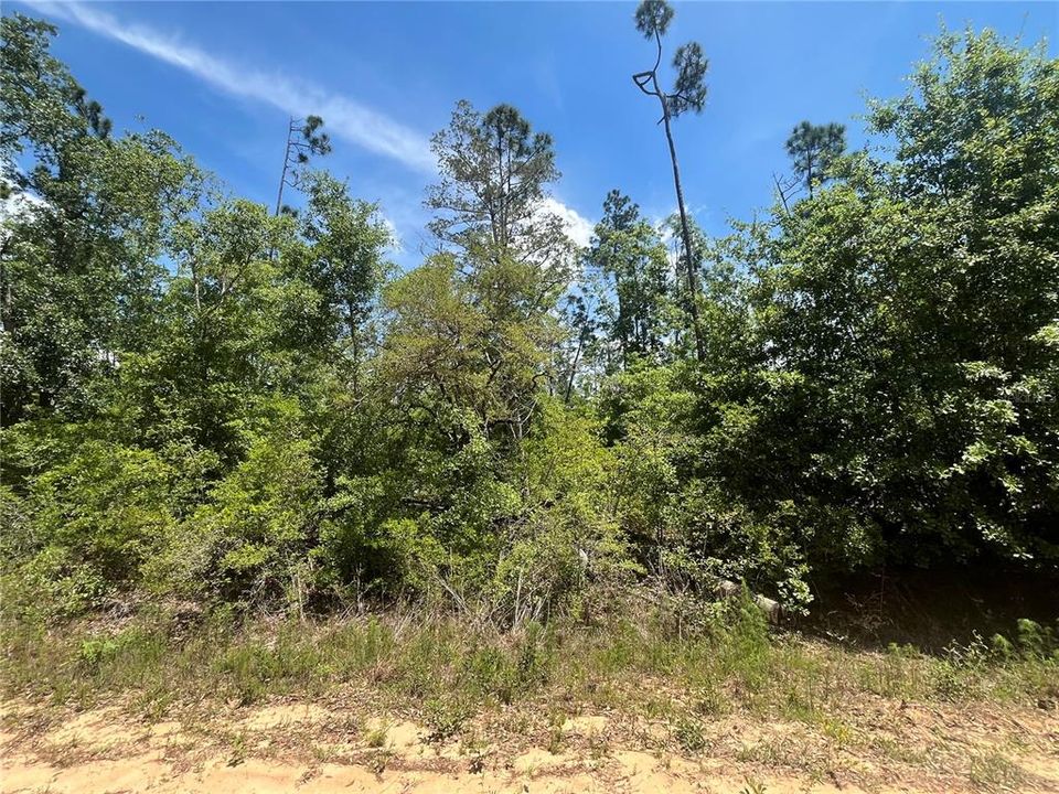 En Venta: $12,400 (1.12 acres)