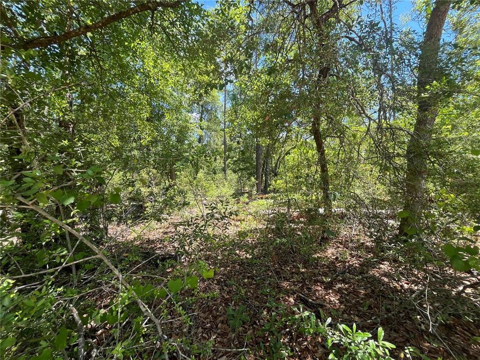 На продажу: $12,400 (1.12 acres)