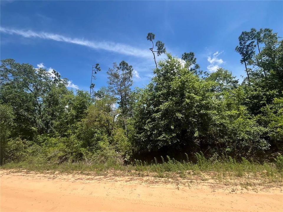 En Venta: $12,400 (1.12 acres)