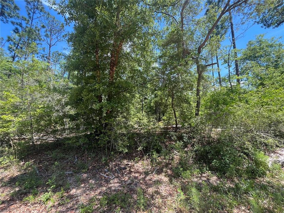 En Venta: $12,400 (1.12 acres)