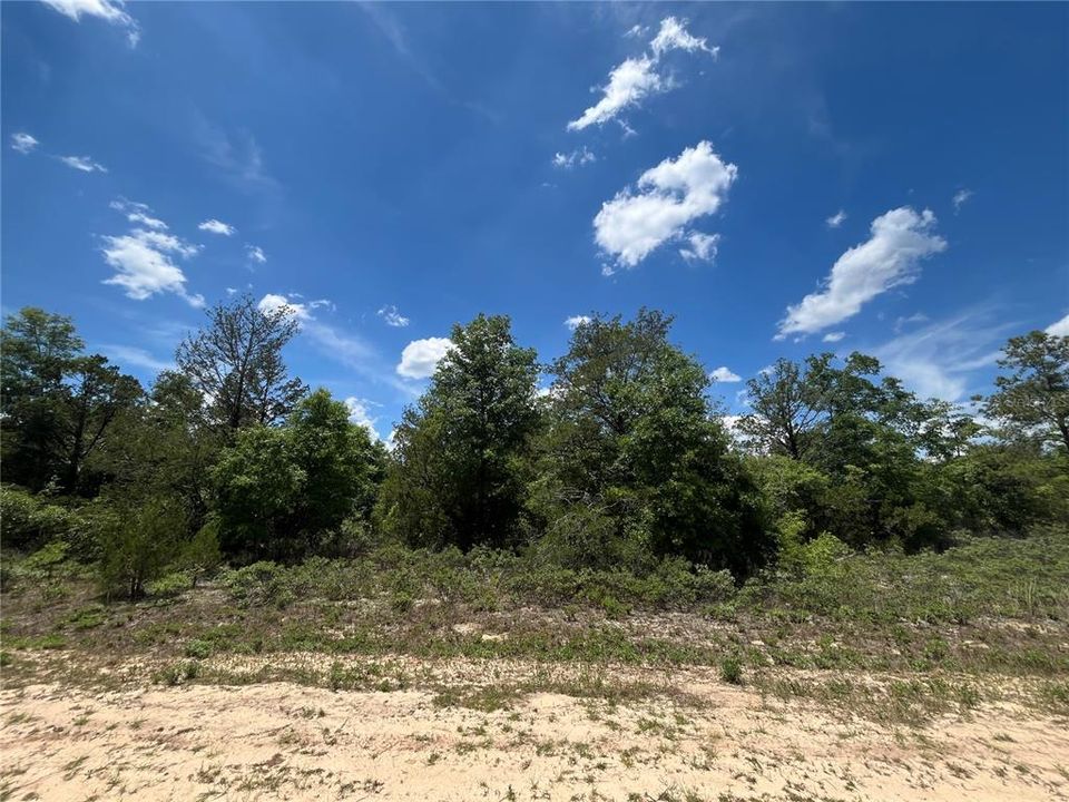 En Venta: $13,400 (1.03 acres)