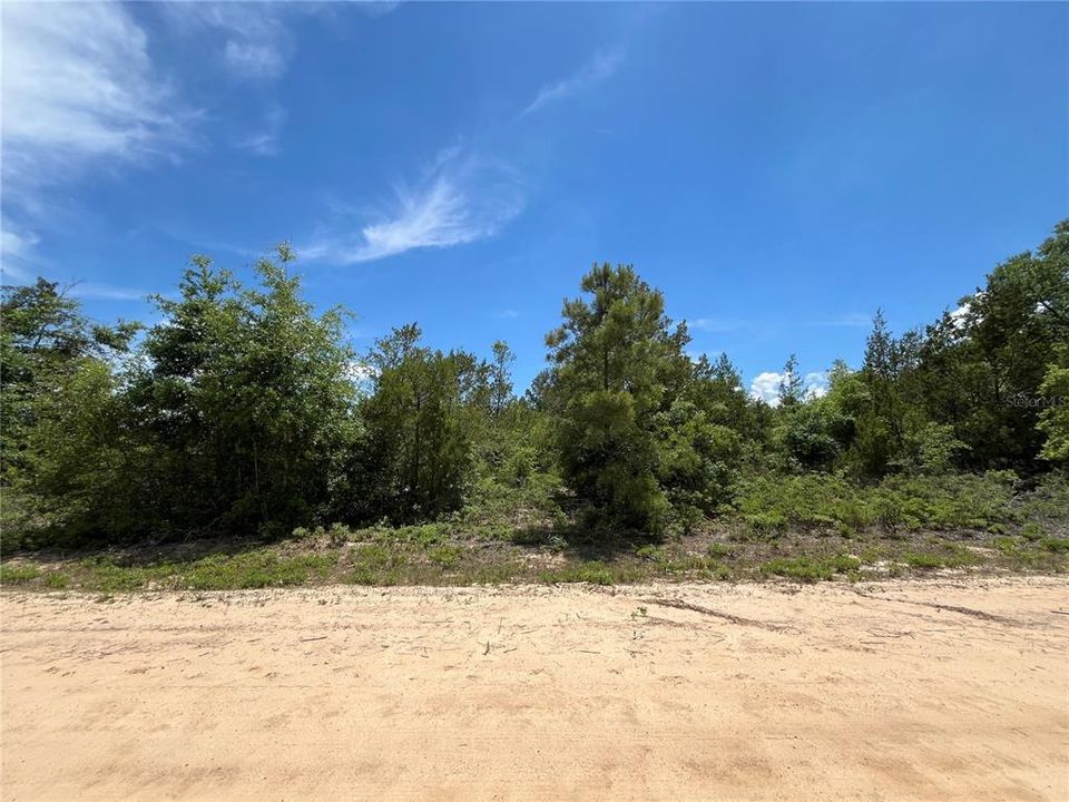 En Venta: $13,400 (1.03 acres)