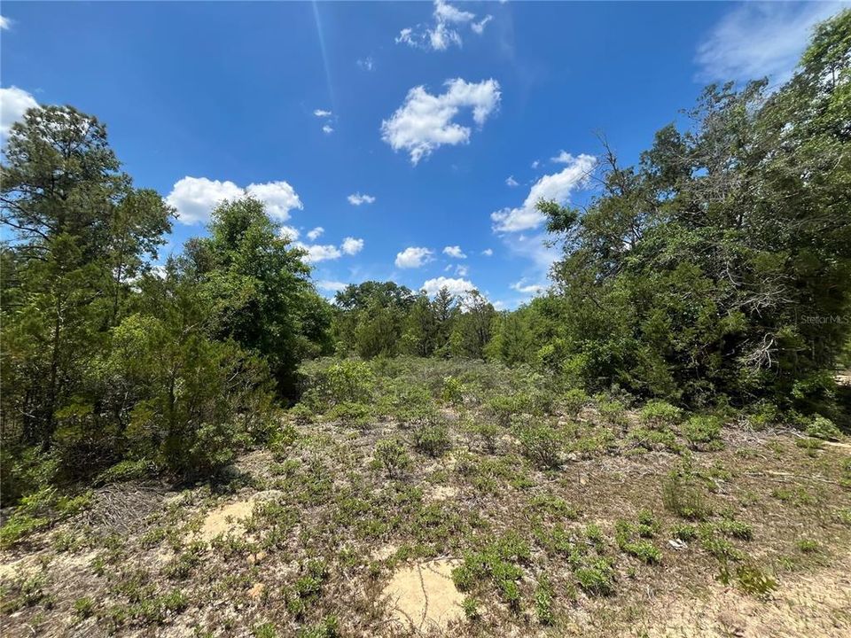 En Venta: $13,400 (1.03 acres)