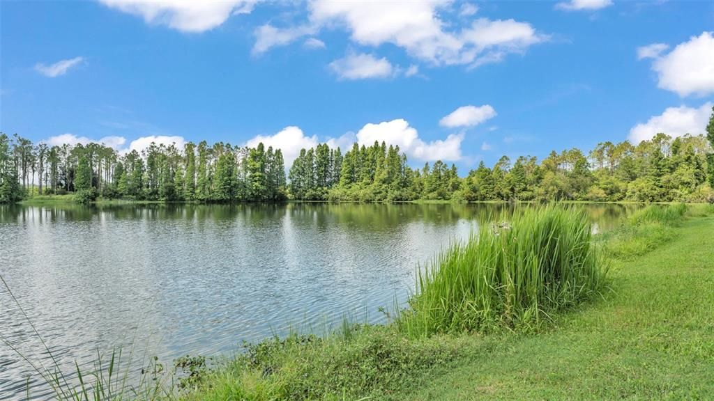 待售: $589,000 (3 贝兹, 2 浴室, 2080 平方英尺)