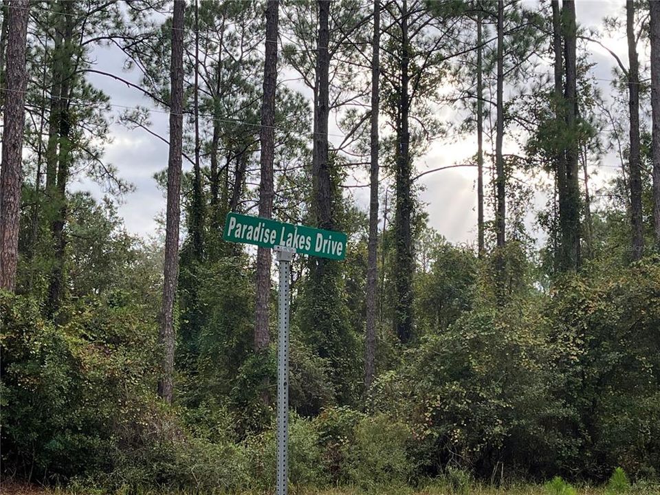 For Sale: $11,800 (0.23 acres)