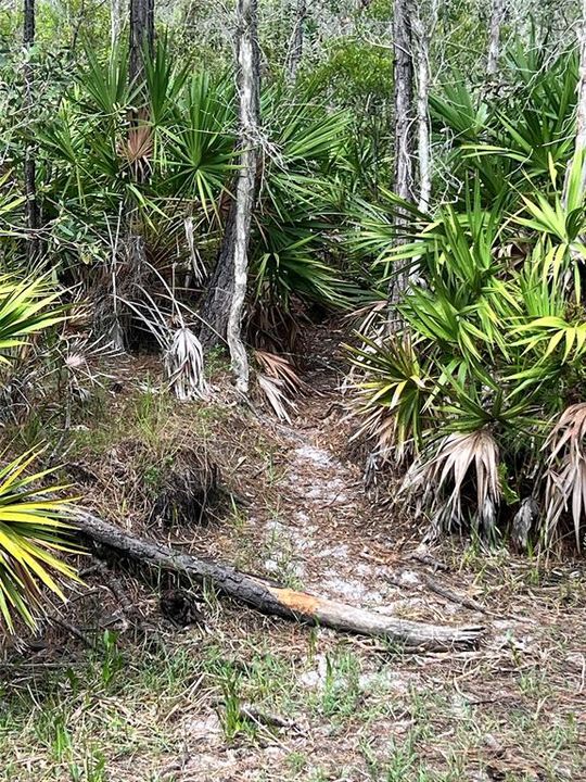 En Venta: $575,000 (20.06 acres)