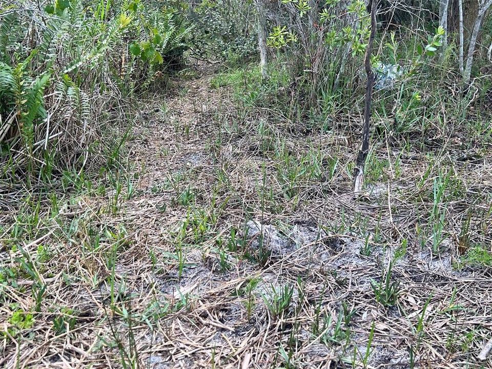 En Venta: $575,000 (20.06 acres)