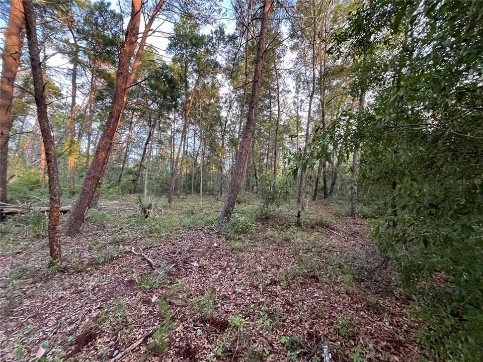 For Sale: $15,500 (0.40 acres)