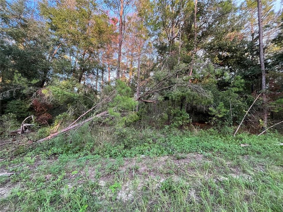For Sale: $15,500 (0.40 acres)