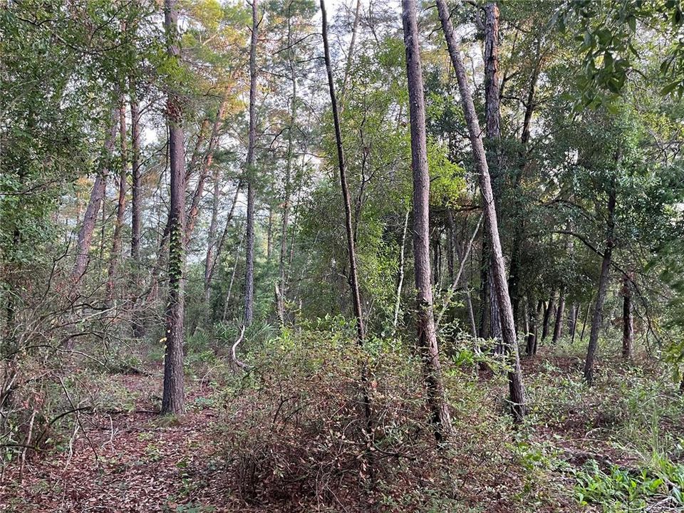 For Sale: $15,500 (0.40 acres)