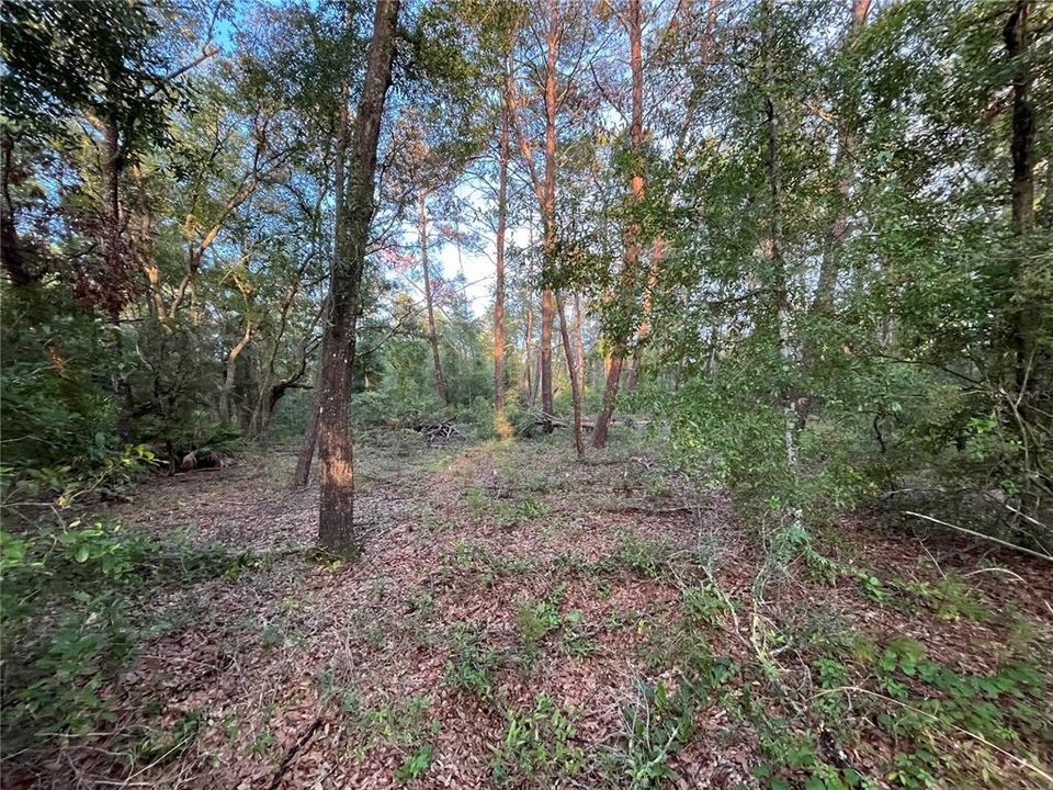 For Sale: $15,500 (0.40 acres)