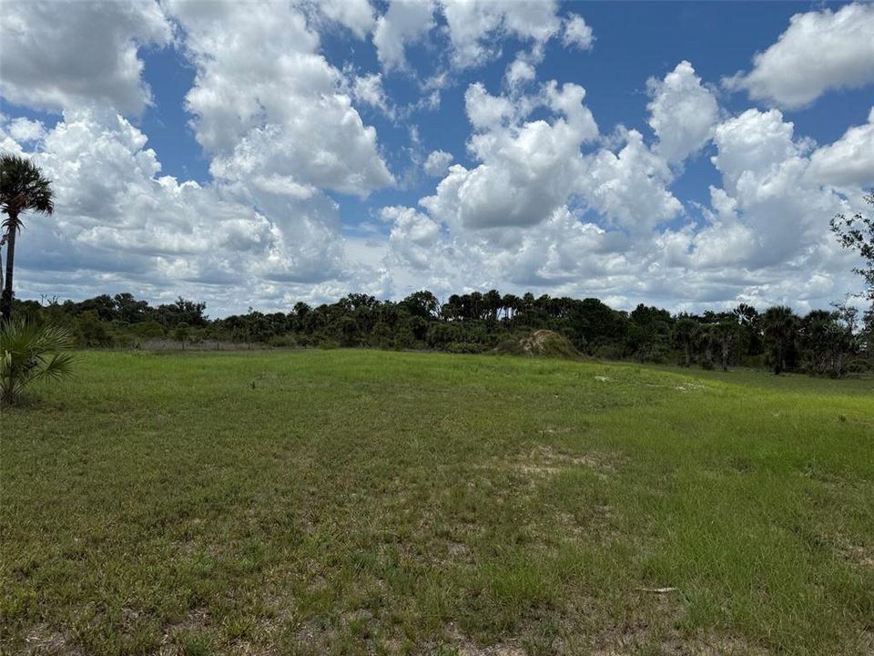 For Sale: $86,900 (2.50 acres)