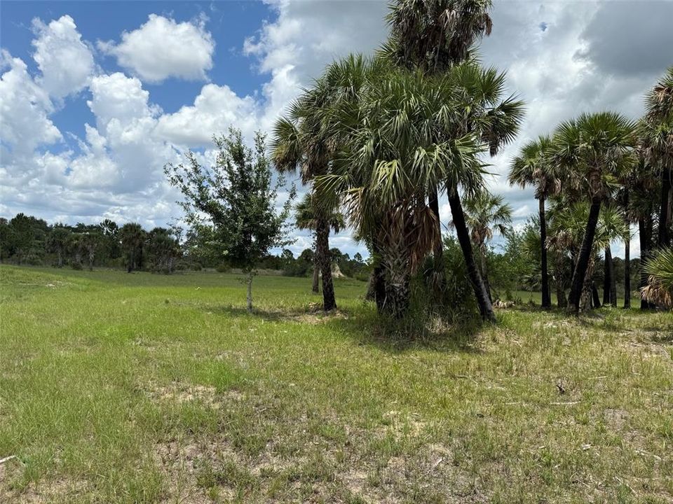 For Sale: $86,900 (2.50 acres)