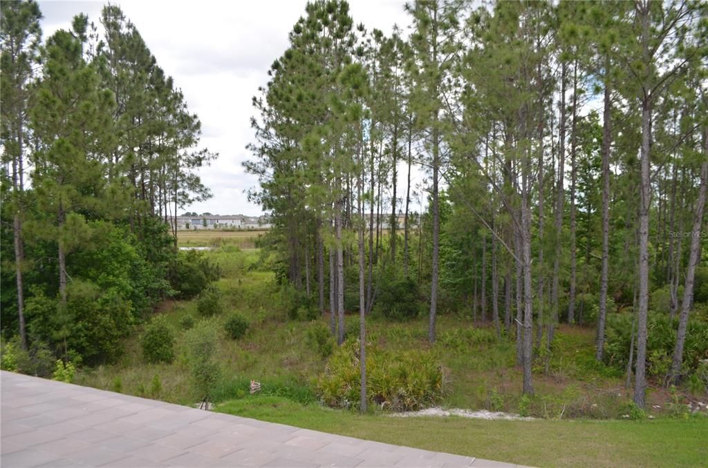 For Rent: $6,500 (6 beds, 5 baths, 4900 Square Feet)