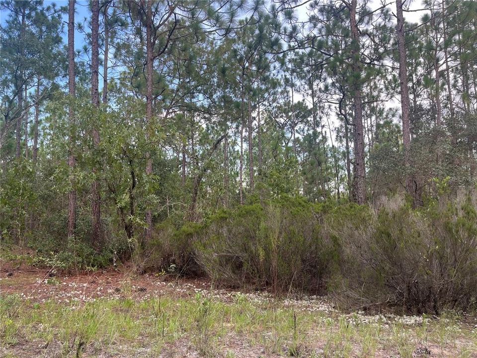 На продажу: $12,100 (0.46 acres)