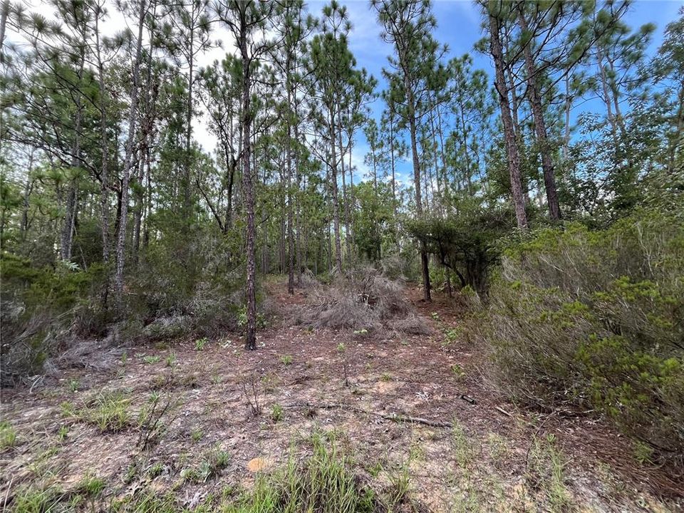 На продажу: $12,100 (0.46 acres)