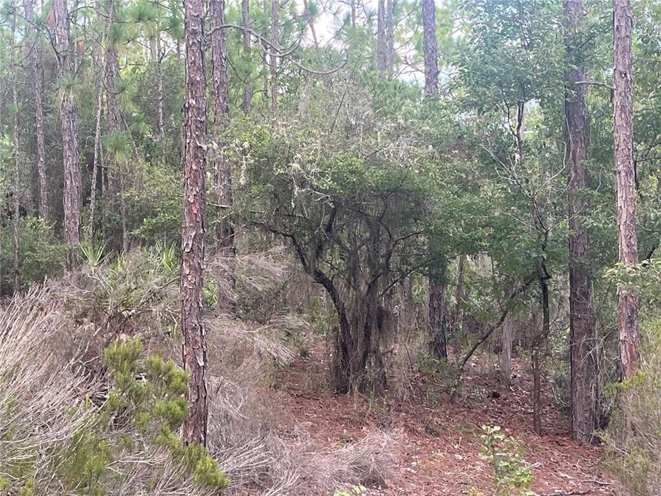 На продажу: $12,100 (0.46 acres)
