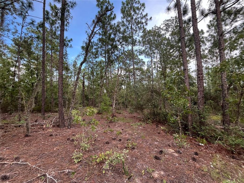 На продажу: $12,100 (0.46 acres)
