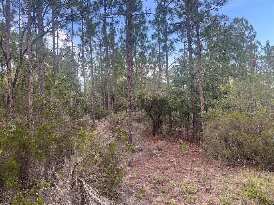 На продажу: $12,100 (0.46 acres)