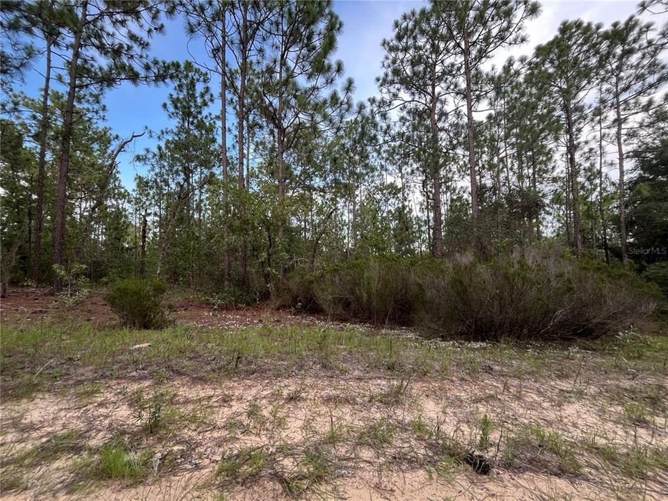 На продажу: $12,100 (0.46 acres)