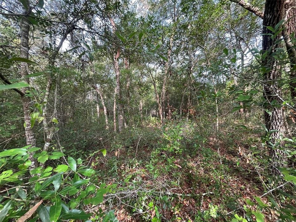 待售: $15,800 (0.21 acres)