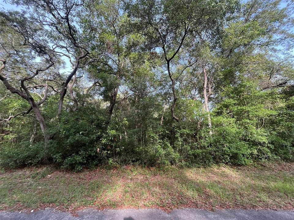 待售: $15,800 (0.21 acres)