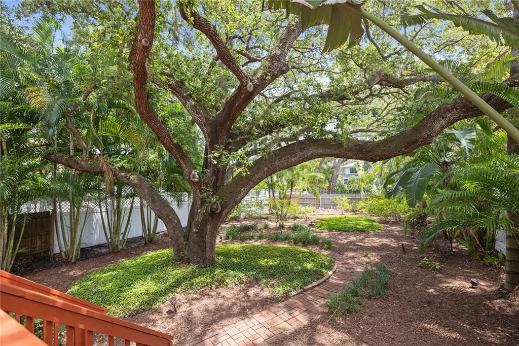 Active With Contract: $5,000 (4 beds, 2 baths, 2633 Square Feet)